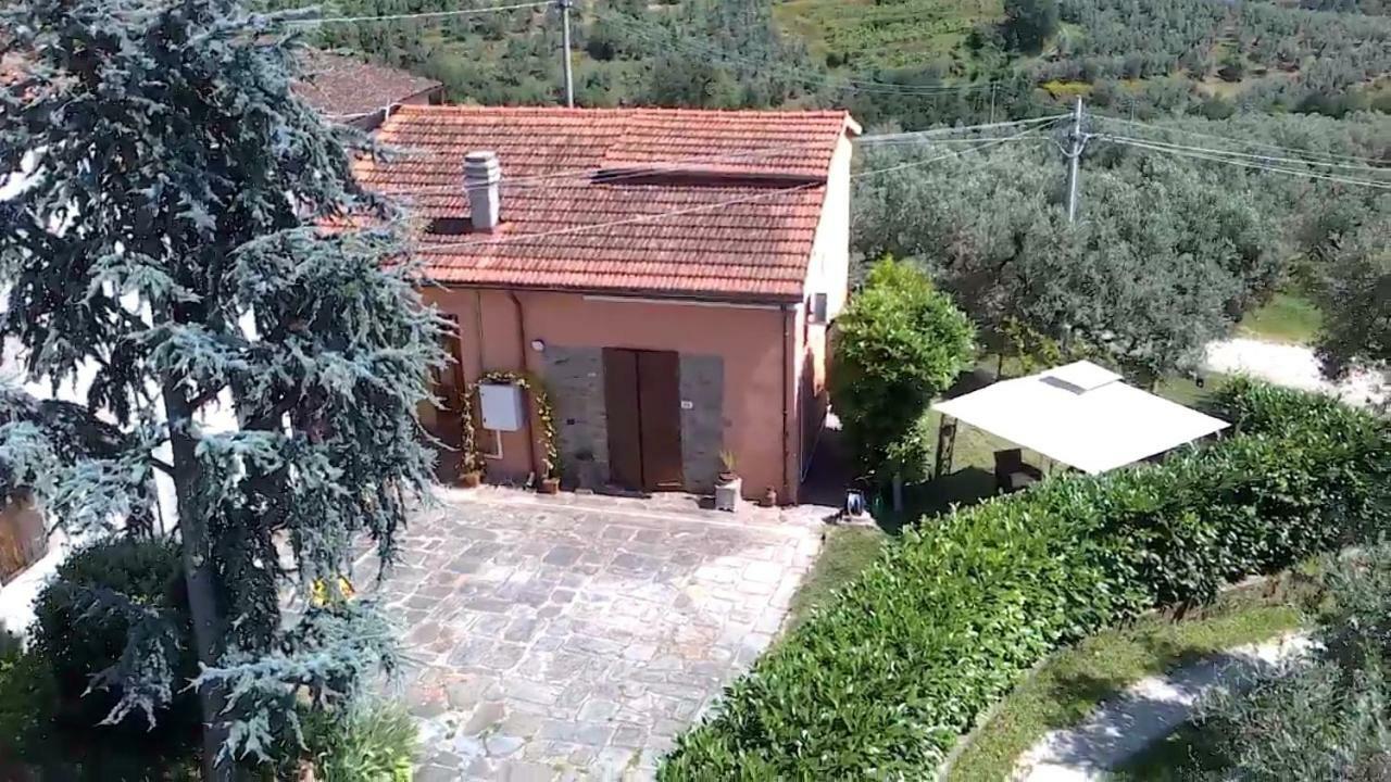 דירות וינצ'י Il Borgo Dei Pini מראה חיצוני תמונה